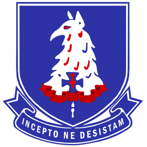 Westville Old Boys Junior Rugby