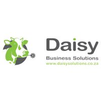DaisyBusinessSoltutions